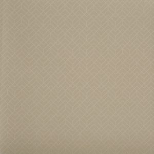 Penrose Hessian (ptc100)